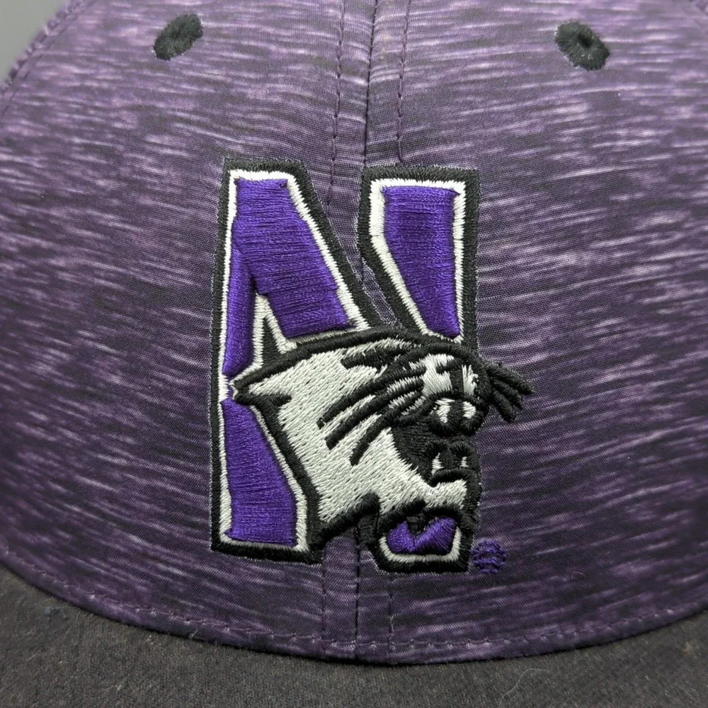 Top of the World northwestern wildcats